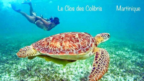 LODGE COLIBRIS Piscine Privée vue panoramique mer et montagne pelée , 500 m plage dans un parc , Calme assuré Idéal pour découvrir le nord Caraïbes